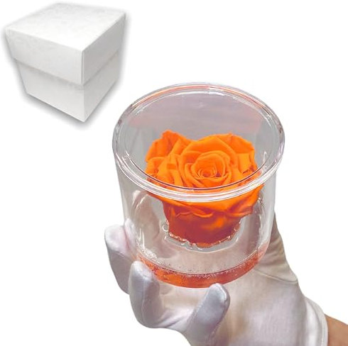 Premium-rose.com Box Tondo con Rosa Rossa stabilizzata Profumata, Box Trasparente da 9cm con Rosa Arancione Vera Eterna con Base Effetto Acqua, Dura più di 5 Anni | Fatto in Italia (Arancione 1046)
