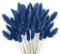 120 PCS Pampa séchée, Bouquet de Fleurs séchées décoration, Fleurs séchées Pampa Plante Fleurs séchées moelleuses, bohème Home Decor Arrangement Floral (Bleu foncé)