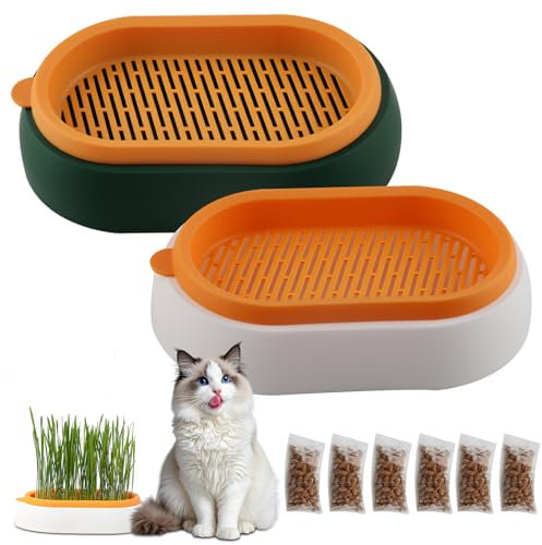 shallyong 2 Pezzi Semi Erba Gatta Kit, Scatola per Erba Gatta, Vaso Idroponico per Semi Erba Gatta, con 6 Confezioni Erba Gatta Semi