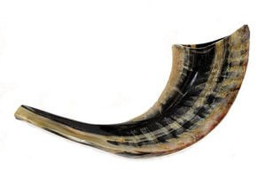 Kosher Shofar Ram's Horn Shofar Medium Size 36-38cm Polished Black / Dark