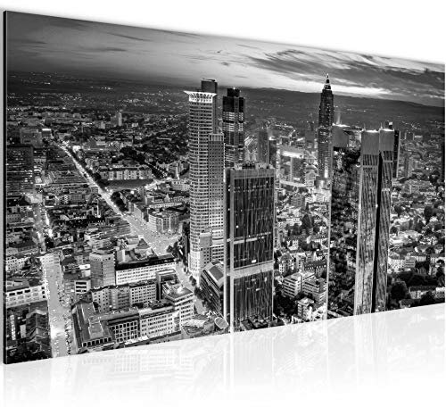 Runa Art Wandbild Frankfurt am Main 1 Teilig 100 x 40 cm Modern Bild auf Vlies Leinwand Skyline Wohnzimmer Schlafzimmer Schwarz weiss 608912c
