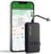 GPS Tracker Auto Mini GPS Tracker Echtzeit Tracking APP ohne ABO, einfache Flottenverwaltung, 6 Monate Tracking-Verlauf, mehrere Alarmerinnerungen, geeignet für Motorräder, LKWs, Motorroller