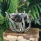 Culinary Concepts London Mini Octopus Stand and Hammered Stainless Steel Bowl