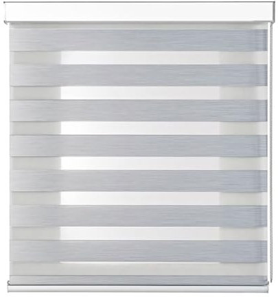 Tenda a Rullo NIGHT AND DAY Doppio Strato Giorno e Notte Premium Con Cassonetto Bianco E Catenella In Alluminio Tenda Per Finestra o Porta Protezione Solare Varie Misure E Colori (Grigio004, 240x300)