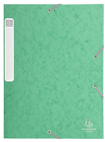 Exacompta 18503H 25er Pack Premium Sammelboxen mit Gummizug 25 mm breit aus extra starkem Colorspan-Karton mit Rückenschild für DIN A4 Archivbox Heftbox Dokumentenbox Zeichenbox Sammelmappe grün