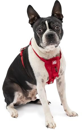 Kurgo Tru-Fit Hundegeschirr, Crash-Test-erprobtes Auto-Sicherheitsgurt, Für Hunde von 2 bis 5 kg, Größe XS, Rot