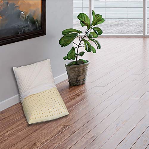 Sleepys Kissen aus Naturlatex, 74 x 42 cm, Höhe 10 cm, gelochte Seife, mit Futter aus Jersey, 100% Baumwolle, antiallergenes Kissen aus Latex