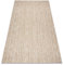 rugsx Tapis SISAL Flat Intérieur Extérieur– Moderne et résistant – pour Salon, Balcon, terrasse – Motif à Chevrons - Beige Naturel Couleur Paille, Cordon 200x290 cm
