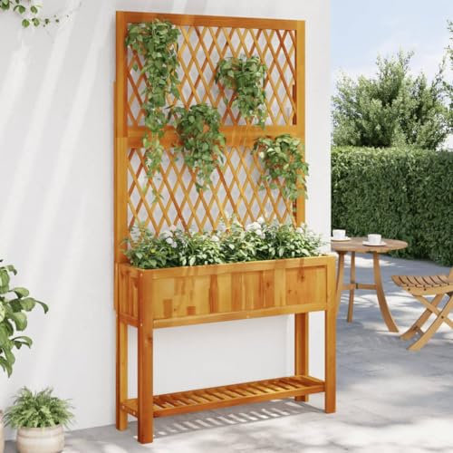 Xichuzi Jardinière avec Treillis et étagère Bois Massif d'acacia,Jardiniere sur Pieds,Bac avec Treillis,Jardiniere Terrasse