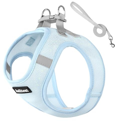 Anlitent Step-in Air Dog Harness and Leash for Small Dog - All Weather Lightweight Mesh No Pull Service Vest Harnesses 8 Weeks - Secure with Hook & Loop Fastener, Buckle, Double D-Rings (Blue, S)