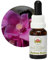 Australian Bush Sydney Rose - 15ml