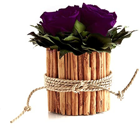 Infinity Blumenbox rund 3 echte Rosen Dunkelviolett in Vase aus Zimtstangen lange haltbar 3 Jahre (Dunkelviolett, 3 Rosen)