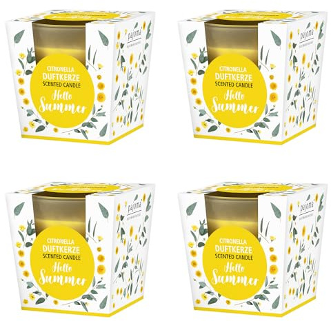 pajoma® Duftkerze im satinierten Glas | Brenndauer: 25 Stunden, in edler Geschenkverpackung | Premium Qualität (Hello Summer, 4)