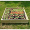 The Garden TImber Company Wooden Raised Veg Beds Pack - 1m x 1m