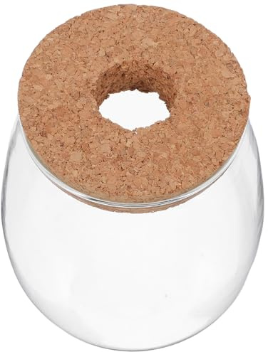 SEWACC Vase de Propagation Hydroponique en Verre Résistant la Chaleur avec Bouchon en Liège Bois et Plateau Bambou, Purifie L'air et Conserve l'eau, pour Orchidées Bureau