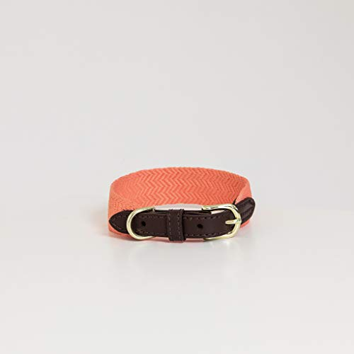 Kentucky Dogwear - Jacquard Hundehalsband - Neon Orange - Größe M - 50cm