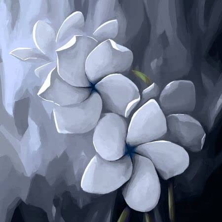 adrium Acryl-Bild 60 x 60 cm: Stillleben Blume malen(55105644)