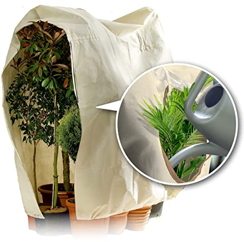 Bio Green Premium Kübelpflanzensack Window Jumbo | 200 x 240cm | Frostschutz & Winterschutz | Schutzhülle Kübelpflanzen +Sichtfenster | Pflanzenschutz
