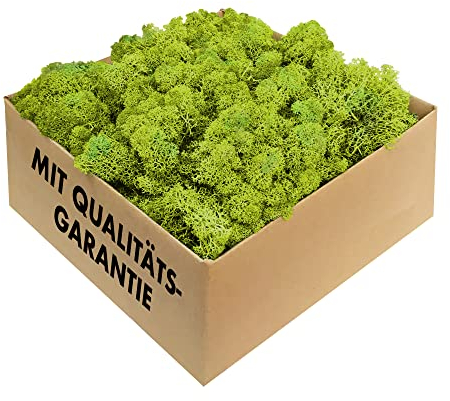 GJS Islandmoos - konserviertes Moos in 200g/500g/1kg/4kg für Moosbilder, als Deko oder zum Basteln (hellgrün, 4kg)