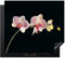 KitchenYeah© Herdabdeckplatte Einteilig Ceranfeld Abdeckplatte für Induktionsschutz Ceranfeldabdeckung Vinyl Herdabdeckplatten Orchidee - Pink - Blumen - Schwarz - Rosa - Natur - 59x52 cm