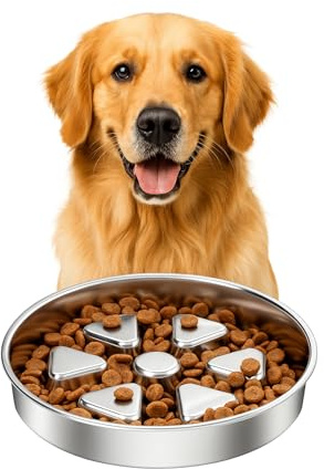 Kactoily 304 Stainless Steel Slow Feeder Dog Bowls, 2.5 Cups Capacity | Non-Slip Metal Dog Slow Feeder Bowl, Raised Design for Slow Eating & Digestive Health - Perfect for Medium Large Dogs
