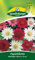 Papierblume, Mischung