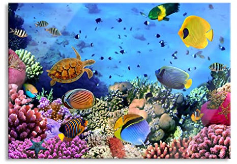 Pixxprint Glasbild, Wandbild aus Echtglas, Fische über Korallenriff, 60x40 cm, inkl. Aufhängung und Abstandshalter
