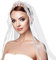 BOFUNX Haarreif mit Brautschleier Rosen Strass Brautkrone Schleier Damen JGA Braut Hochzeit Hen Party Accessoires