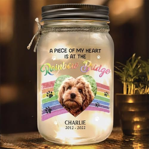 Personalisiertes Haustier-Gedenk-Einmachglas-Licht – individuelles Foto Hund / Katze Beileidsgeschenk, LED-Glas-Lampe zum Verlust der Erinnerung an Haustiere, perfektes Weihnachtsgeschenk (Version 8)