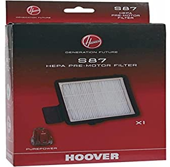 Filtre de pré-Moteur Hepa lavable D'origine Hoover Candy Purepower Série Cylindre (S87)