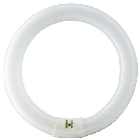 Crompton 60 W 240 V 16 Inch Diameter 840 [4000 K] Cool White Colour T9 Ring Triphosphor Fluorescent Lamp