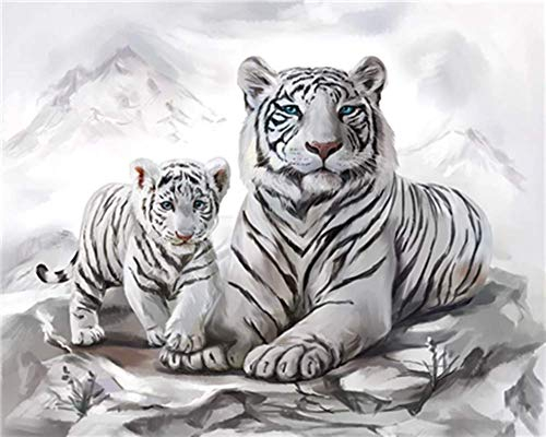 WOWDECOR DIY Malen nach Zahlen für Erwachsene Kinder Mädchen, Weiß Tiger Familie Tiere 40x50cm Vorgedruckt Leinwand-Ölgemälde (mit Rahmen)