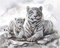 WOWDECOR DIY Malen nach Zahlen für Erwachsene Kinder Mädchen, Weiß Tiger Familie Tiere 40x50cm Vorgedruckt Leinwand-Ölgemälde (mit Rahmen)