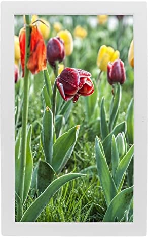 19-Zoll-Digitaler Bilderrahmen, 1080P-LED-Bildschirm, Digitaler Bilderrahmen, Weißer Bilderrahmen mit Video, Musik, Foto, Automatischer Drehung, Diashow, Fernbedienung, Kalender,
