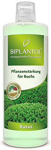 Biplantol Buxus, 250 ml