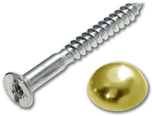 Merriway BH02140 (4 Pcs) Zinc Plated Mirror Screw 25mm (1 inch) with Brass Dome and Washers - Pack of 4 Pieces