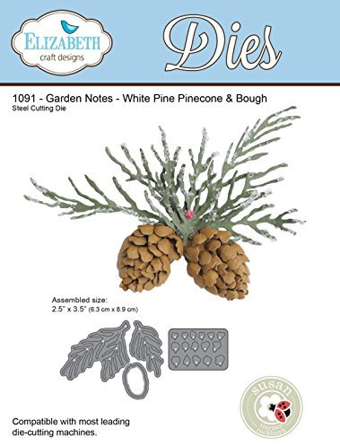 Elizabeth Craft Designs Elizabeth Craft Metal Die Garden Notes Whitepine Boughs and Pinecone, Acrylic, Multicolour, 0.25x13.97x21.59 cm