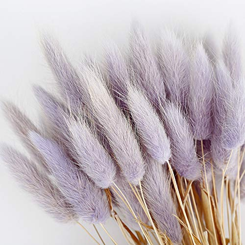 Monkys 50 Stück getrocknetes Gras natürliche getrocknete Blumen getrocknete Kaninchenschwanz Gras trockenes Gras Bouquet trockene Blume Bündel Garten Party Dekor
