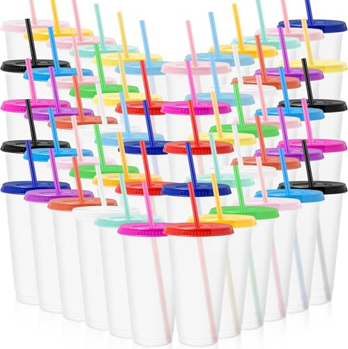 60 Pcs Tumbler with Straw and Lid Bulk (24 oz) Water Bottle Iced Coffee Travel Mug Cup Reusable Plastic Cups for Parties Birthdays