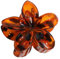 1 Stück Leoparden Plumeria Blumen Haarspangen Damen,Hawaiian Claw Clip,Rutschfeste Haarklammer,Starker Halt,Krallenklammern Haarstyling-Zubehör für Frauen,Party Strand Pool Urlaub,Braun