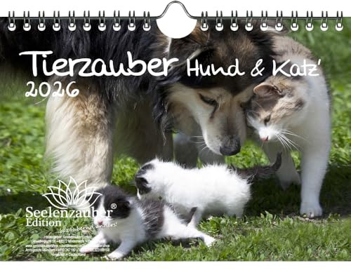 Tierzauber Hund und Katz DIN A5 Kalender für 2026 Freundschaften Hund Katze - Seelenzauber