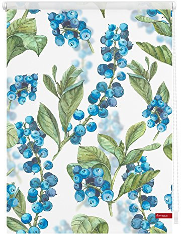 Lichtblick Klemmfix Tageslicht-Rollo mit Motiv, ohne Bohren, Blickdicht, Seitenzugrollo, Made in Germany, Heidelbeere - Blau Grün 60 x 150 cm (B x L)