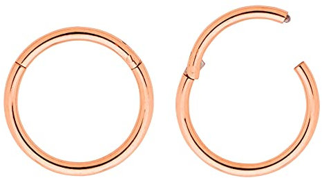 (10mm 18G) 2PCS Titanium Implant Grade Septum Jewellery Hinged Segment Ring Body Piercing Hoop Lip Rings Helix Cartilage Rook Sleeper Earrings Nickel Free Hypoallergenic