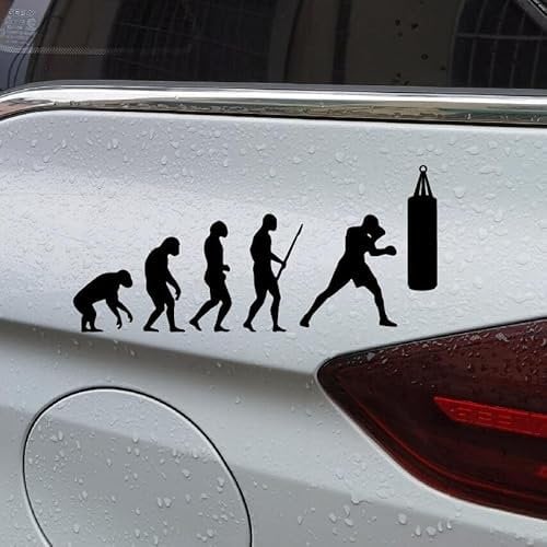 myrockshirt Evolution vom Affen zum Boxer 20cmSticker Aufkleber Autoaufkleber