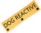 Dog Leash Sleeve Dog Reactive Training In Progress Lead Cover Leash Sign Service L eash Wrap (D OG REACTIVE-S)