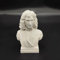 Newton Statue Wissenschaftler Einstein Büste Statue 3D Druck Galileo Figur Madame Curie Skulptur Tesla für Wohnzimmer Home Desk Decor Tesla Collection Figur Hawking Bust (Isaac Newton)