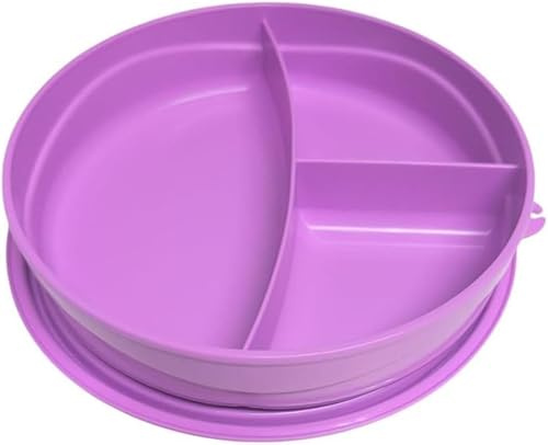 Tupperware to Go Lunchbox Clevere Pause 550ml rund mit Trennwand Eco+ Schule Brotdose mit Abteilung lila 550 ml