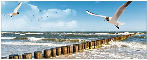 Wallario Glasbild Fliegende Möwe am Strand - 50 x 125 cm Wandbilder Glas in Premium-Qualität: Brillante Farben, freischwebende Optik