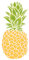 Ananas-Schablone – 11,5 x 25,5 cm (M) – Wiederverwendbare Schablone für Obst und Gemüse