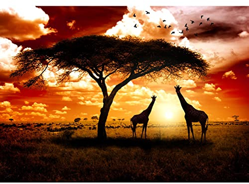 Runa Art Fototapete Afrika Giraffen 352 x 250 cm Vlies Tapeten XXL Moderne Wandtapete Wohnzimmer Schlafzimmer Braun Orange 9110011b